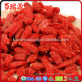 Goji halb Seite goji Beere goji wolfberry